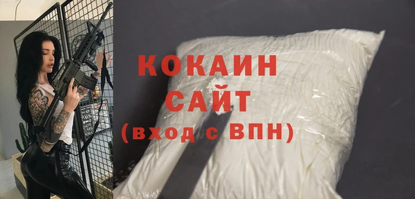 сатива Армянск