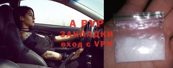 сатива Армянск