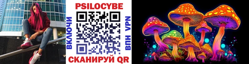закладка  Новоузенск  mega рабочий сайт  Псилоцибиновые грибы Psilocybine cubensis 